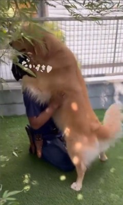 そら君と植木屋さんのふれあい2