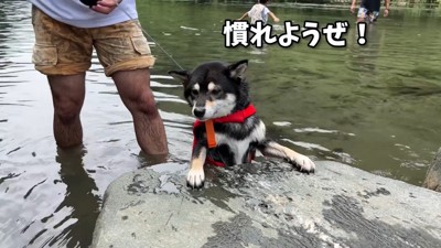 水嫌いは克服できませんでした…