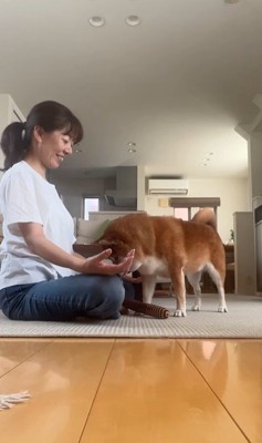 瞑想を邪魔する野々花ちゃん8