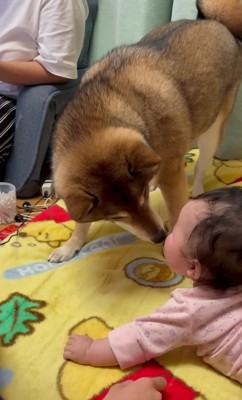 「すごいでしょ?」