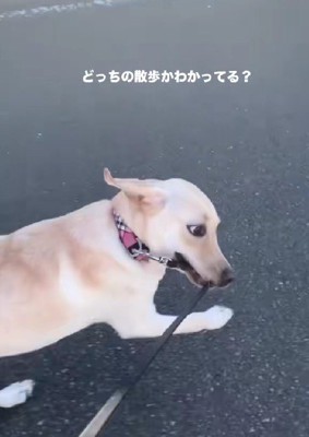 横目でチラリ