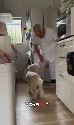 ワンコとおじいちゃんの日常7