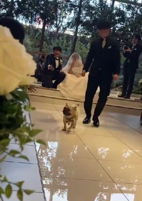 ダッシュで逆戻り!!