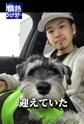 人に抱かれる犬