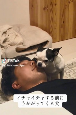 パパに顔を近づけるピペちゃん