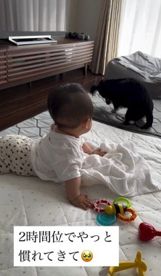 赤ちゃんとワンちゃんの初対面7