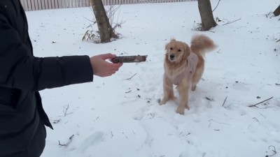 みんなで雪遊び♪