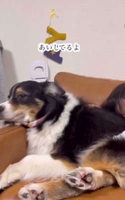 愛が止まらない