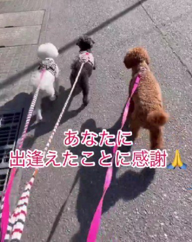 これからも幸せで…