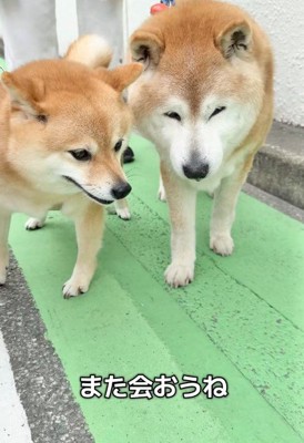 心温まる楽しい思い出