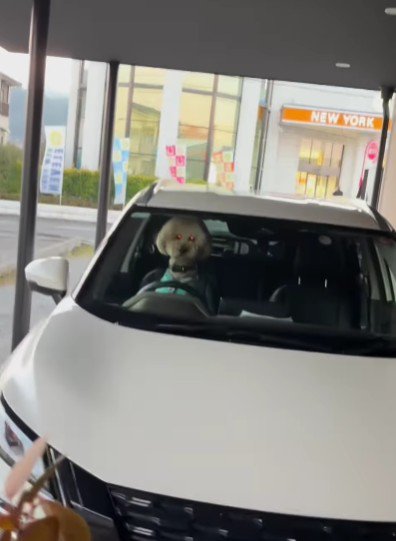 車に戻ってみると…