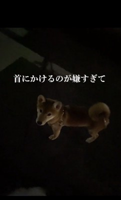 立ち止まるしもんくん