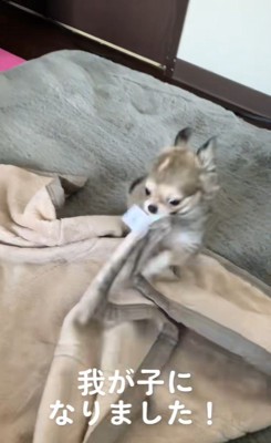 お迎えした日のアム君の様子3