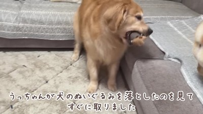 おもちゃを見事に回収