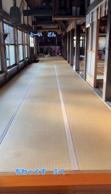 廊下の奥に並ぶ犬と人