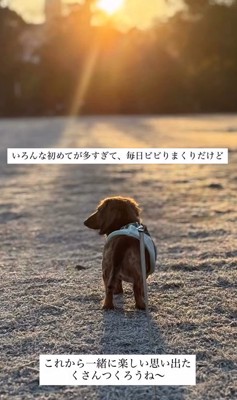 ラホちゃんとの出会いと現在⑩