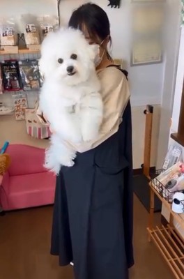 投稿主さんを見つめるエマくん