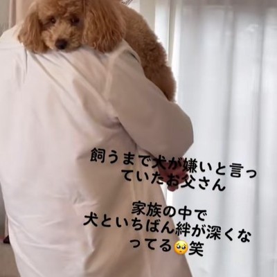 飼い主に抱かれている小型犬