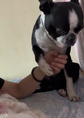 「オレがいるよ」と伝えるペレくん