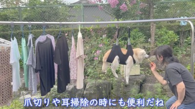 なんだかシュール…！