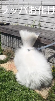 ！？