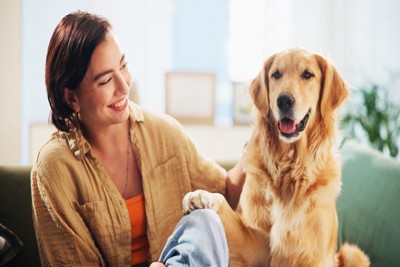 飼い主に前足でちょいちょいする犬