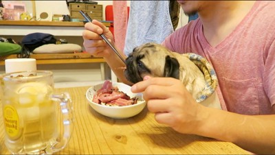 男性から肉をもらう犬