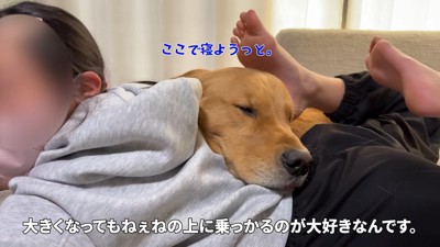 抱っこの代わりに顎乗せ