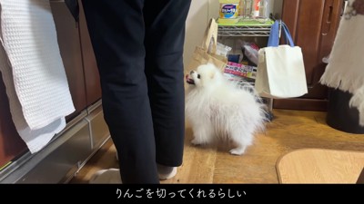 リンゴを切ってくれた