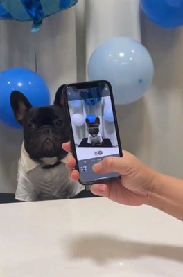 カメラを向けられるぼんくん