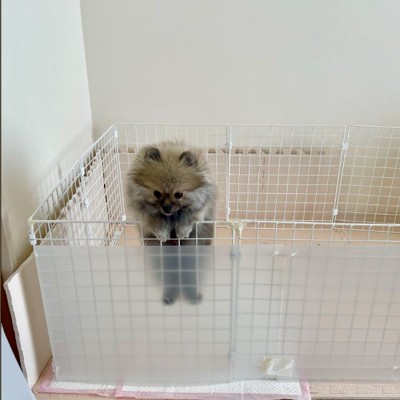 サークルをよじ登る子犬