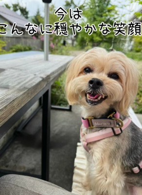 満面の笑みを見せてくれるように