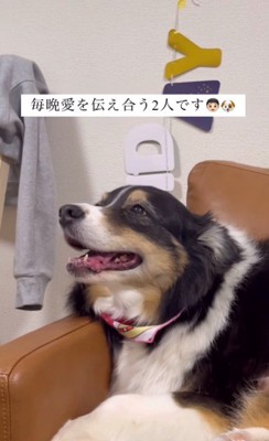 言葉を聞いたレアちゃんは…