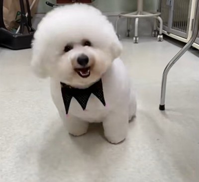 モンくんの成長⑩