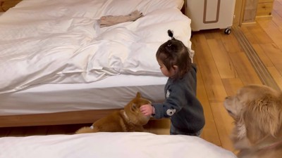 ほのちゃんが割って入るも…