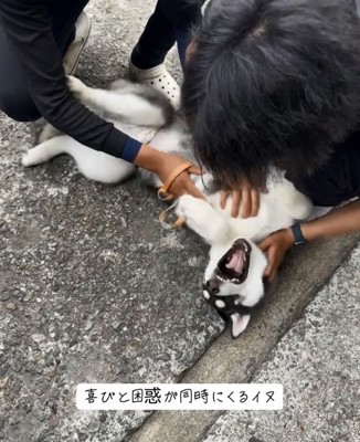 絶叫するキラくん