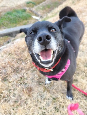 笑顔はチャーミング♡