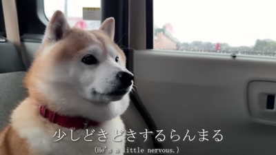 「ドキドキしてきた…」