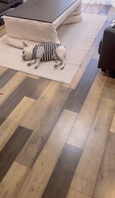 演技派のこまつくん