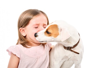 泣いている女の子とテリア犬