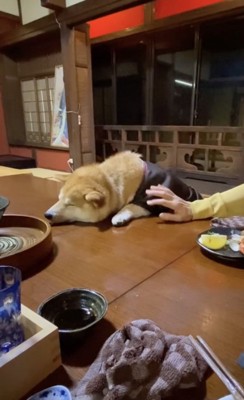 みんなほっこり