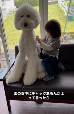 背中のチャックを探す男の子