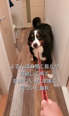 お姉ちゃんが帰省した時の眞秋くん