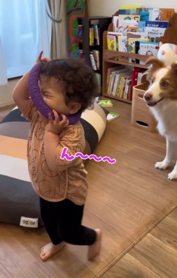 おもちゃが顔にかかっている子供の横に犬