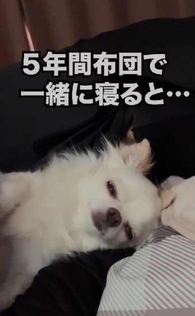 同じ布団で寝たら…