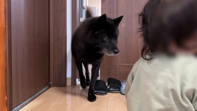 イトちゃんが気になる…