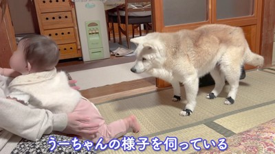 「大丈夫かな?」