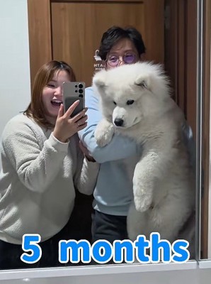 急に逞しくなった!?