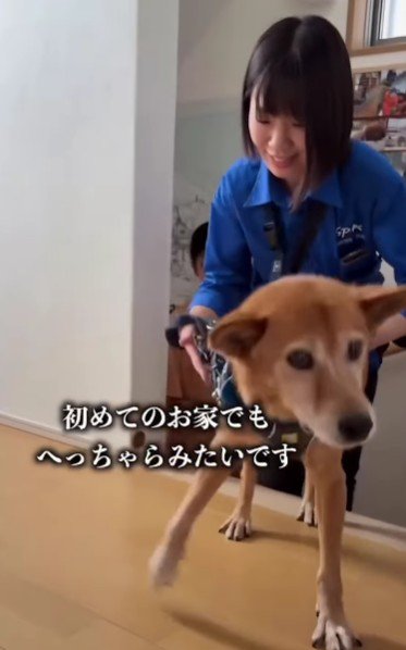 新しい犬生の一歩