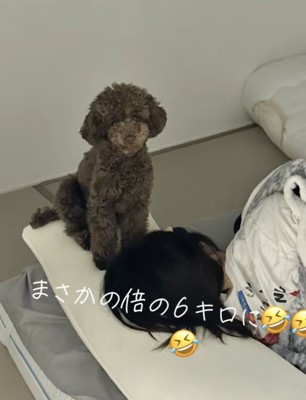 予想の倍の大きさに！